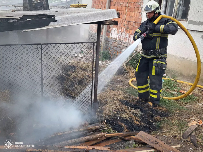 На Хустщині рятувальники ліквідували пожежу у надвірній споруді