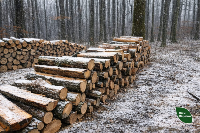 Тепло з лісу: у Карпатському регіоні лісівники гарантують стабільні запаси та доступні ціни на дрова для населення