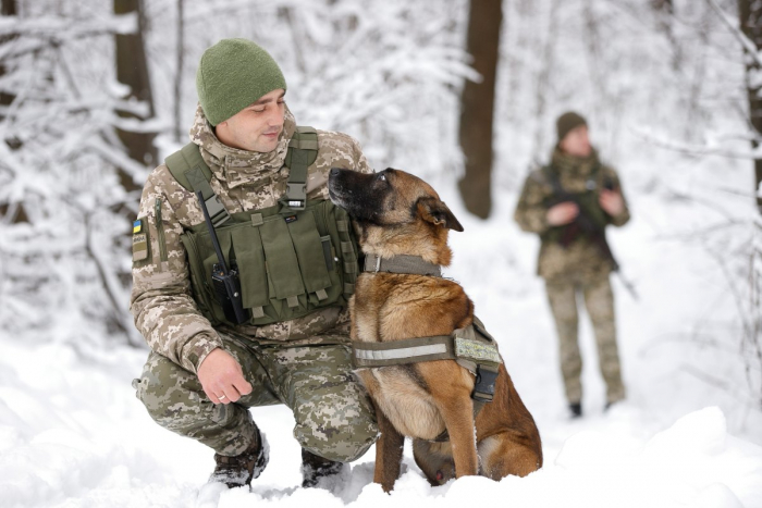 Закарпатський прикордонник Альберт Човка та його чотирилапий напарник Брікс: погляд, команда, результат

