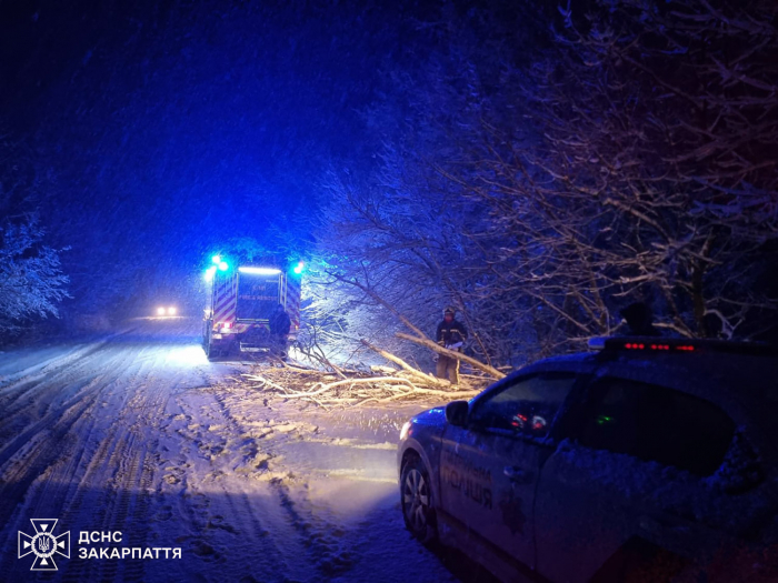 Сильний сніг і вітер: рятувальники ліквідовують наслідки падіння дерев на Закарпатті