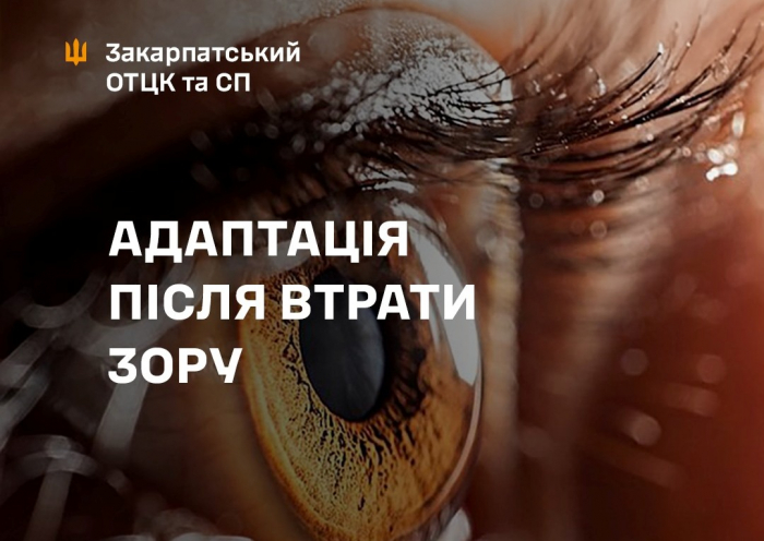 Життя після втрати зору: державна програма адаптації для ветеранів та умови співпраці для бізнесу

