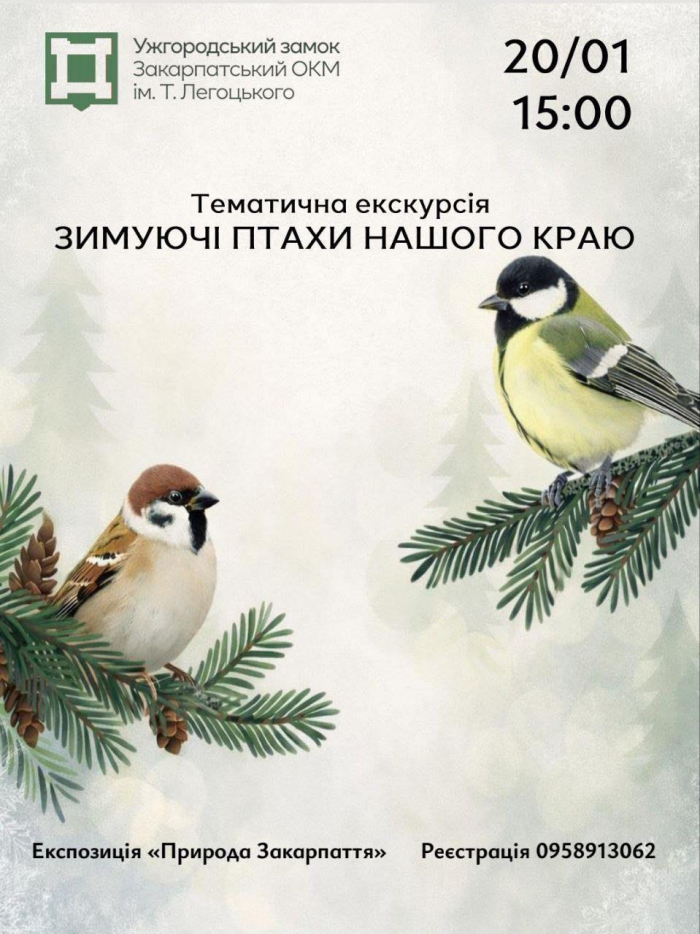 Різдвяний облік птахів: ужгородців запрошують на тематичну екскурсію «Зимуючі птахи нашого краю» 