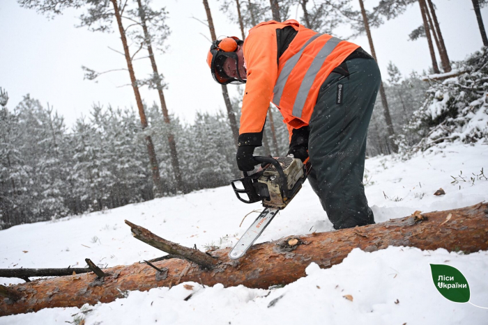 Попит на деревину в Карпатському регіоні залишається стабільно високим