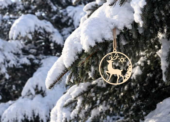 Свята без шкоди лісу: лісівники розповіли, скільки новорічних ялинок реалізували на Закарпатті