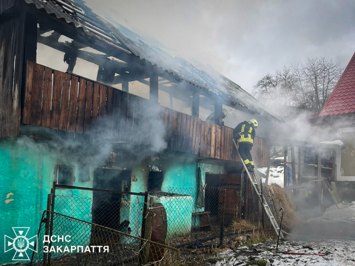 Рятувальники запобігли знищенню надвірної споруди та перекиданню вогню на житловий будинок на Мукачівщині