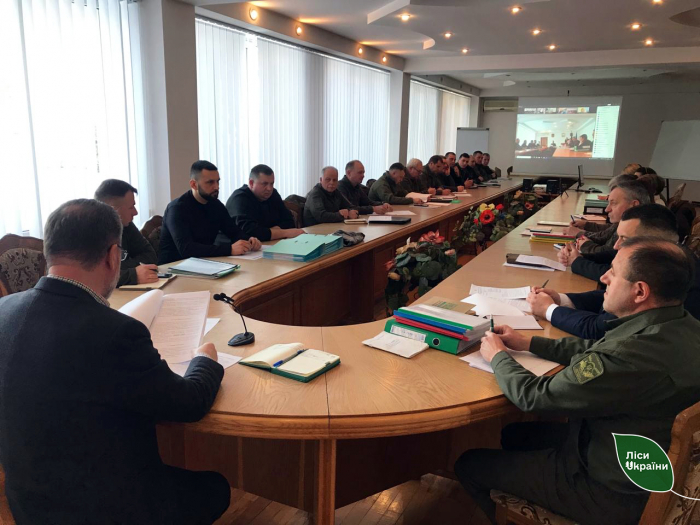 Майбутній здоровий ліс в Карпатах на понад 3000 гектарах – плани лісівників Карпатської філії на 2026 рік