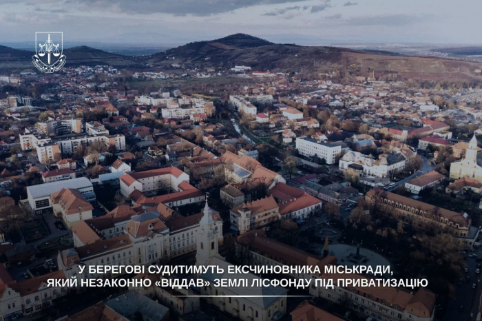 У Берегові судитимуть ексчиновника міськради, який незаконно «віддав» землі лісфонду під приватизацію

