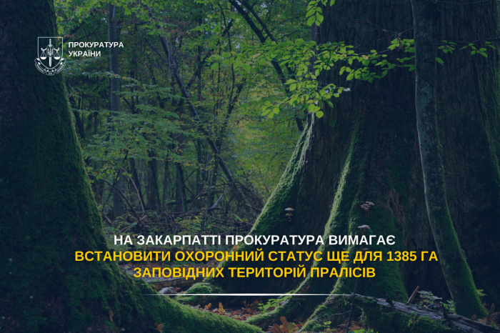 На Закарпатті прокуратура вимагає встановити охоронний статус ще для 1385 га заповідних територій пралісів
