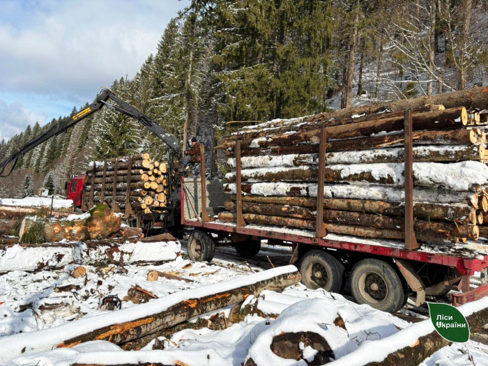 Деревина для оборони: Карпатська філія продовжує забезпечувати ЗСУ ресурсами