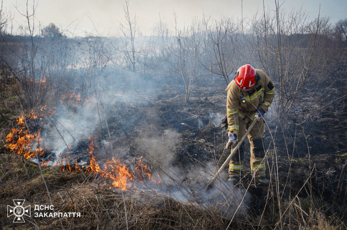 Весна для вогнеборців почалася із пожеж в екосистемах Закарпаття
