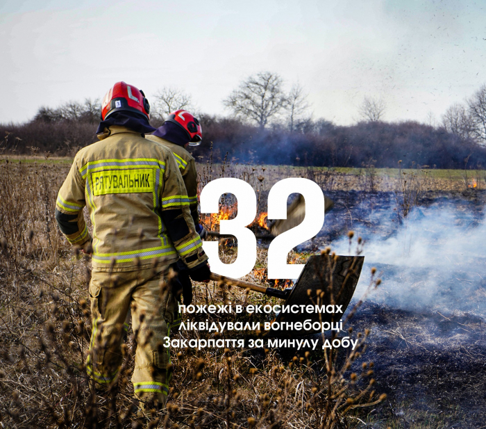 На Закарпатті за добу рятувальники загасили 32 пожежі в екосистемах