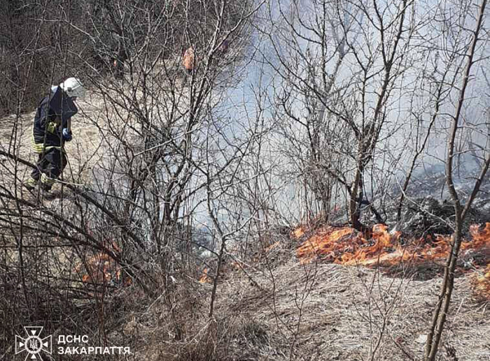 2,25 гектара лісової підстилки — такі втрати від двох пожеж на Закарпатті лише за одну добу 