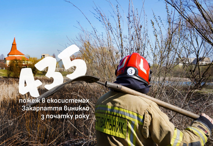 Із початку року на Закарпатті сталося вже 690 пожеж, 435 із них – в екосистемах
