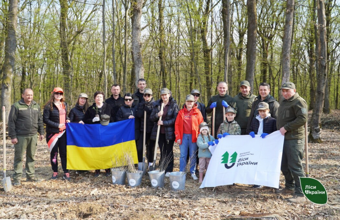 Майбутні дубові ліси на Закарпатті виростуть з молодих сіянців