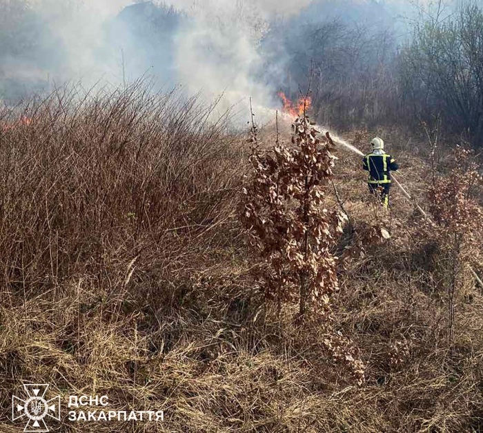 Із початку року підрозділи ДСНС Закарпаття вже ліквідували 604 пожежі в екосистемах краю