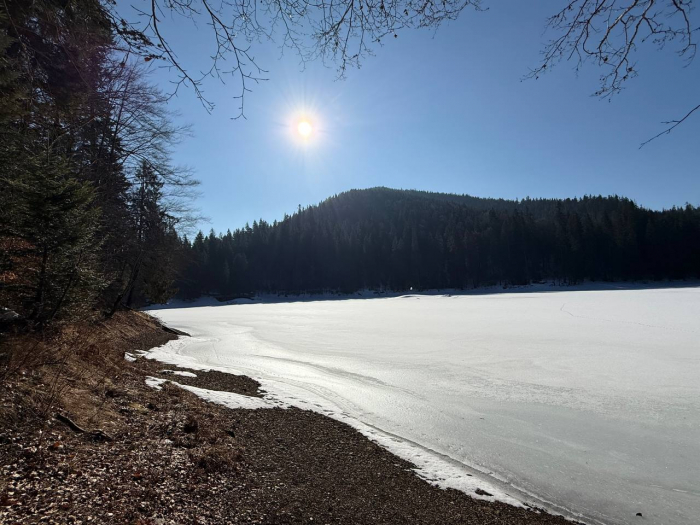 Весна у НПП «Синевир»: парк запрошує побачити перші квіти та пробудження тварин