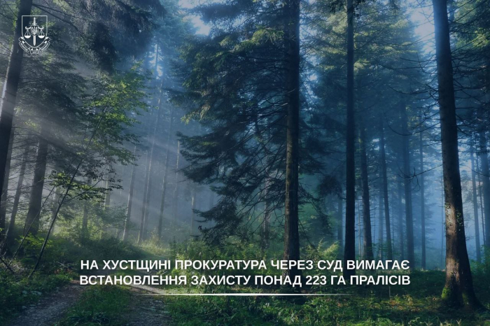 На Хустщині прокуратура через суд вимагає встановлення захисту понад 223 га пралісів

