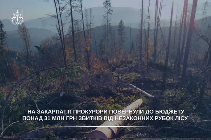 На Закарпатті повернуто до бюджету понад 31 млн грн збитків від незаконних рубок лісу