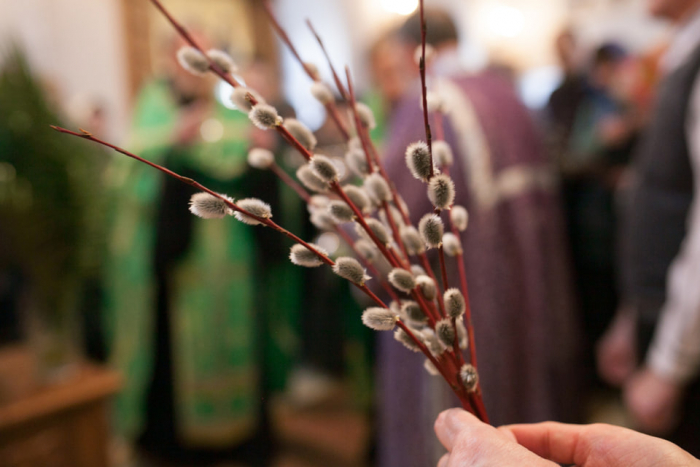 У християн західного обряду сьогодні – Вербна неділя: історія та традиція свята