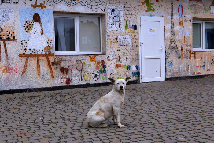 Тут знають всіх учнів по іменах: як живе ужгородська школа №13