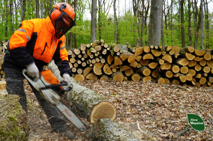 Підготовка до наступної зими вже почалася: лісівники Карпатської філії збільшують заготівлю дров