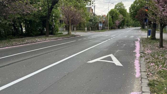 "Швидше автобуси будуть добиратися": що кажуть водії та міськрада про нову організацію руху в Ужгороді