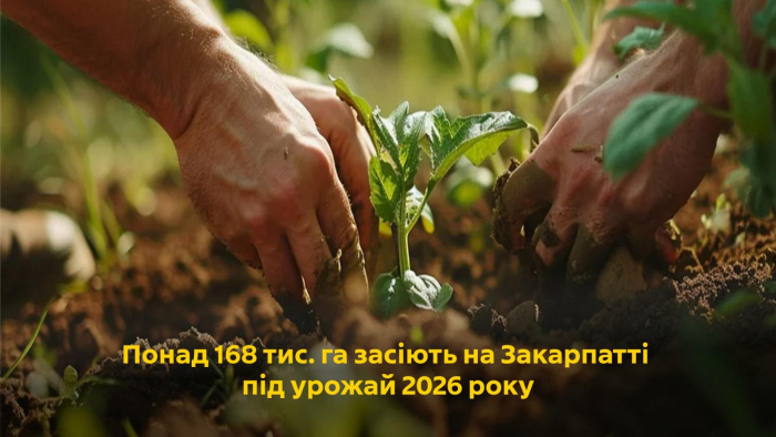 Понад 168 гектарів засіють на Закарпатті під урожай 2026 року