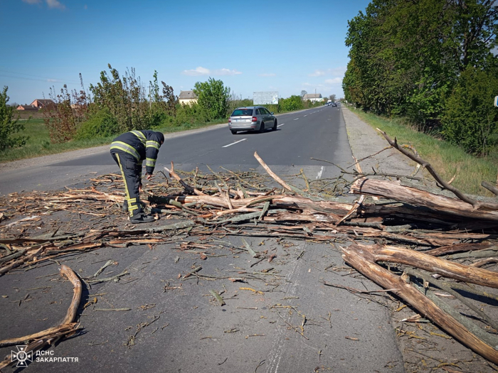 Негода на Закарпатті: загинув чоловік, десятки населених пунктів без світла