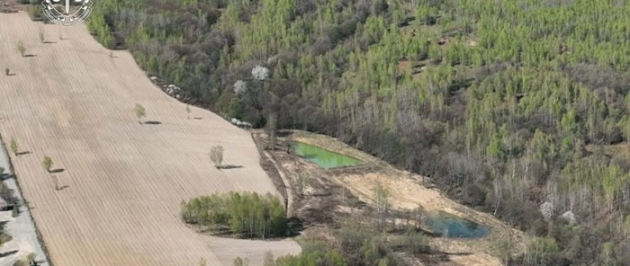 Прокуратура вимагає повернути громаді 22 гектари землі на Перечинщині: що сталося насправді