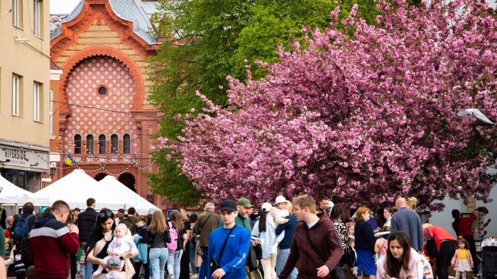 Більше японського стилю: що чекати на «Сакура фесті» 17-19 квітня в Ужгороді
