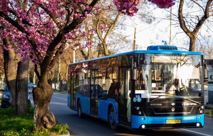 Графіки руху комунальних автобусів в Ужгороді на Великодні свята 5-6 квітня
