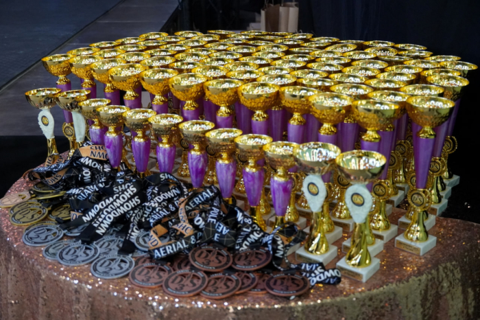 Ужгород приймав відкритий турнір із повітряної акробатики та пілонного спорту