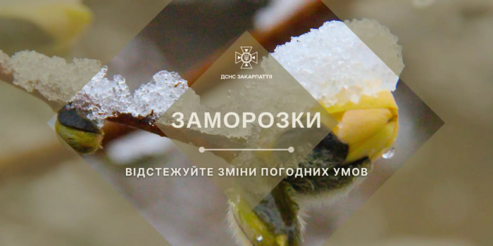 На Закарпатті завтра прогнозують сильні заморозки