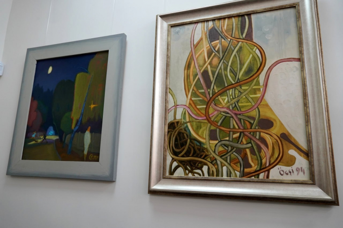 В Ужгороді відкрився новий мистецький простір VitArs Gallery