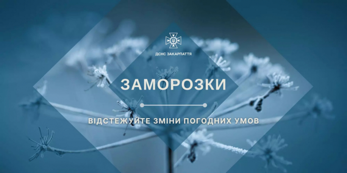 На Закарпатті, зокрема і в Ужгороді, сьогодні вночі та 1 травня вранці прогнозують сильні заморозки
