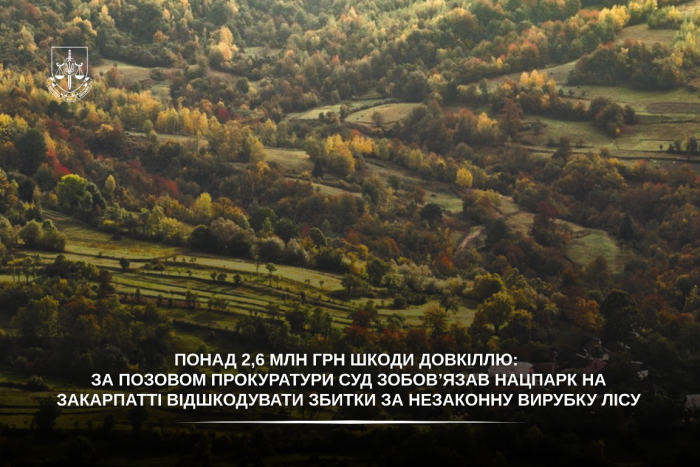 Понад 2,6 млн грн шкоди довкіллю: суд зобов’язав Ужанський нацпарк відшкодувати збитки за незаконну вирубку лісу