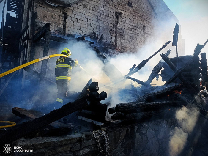 Вогнеборці ліквідували пожежу на території одного з курортів на Хустщині