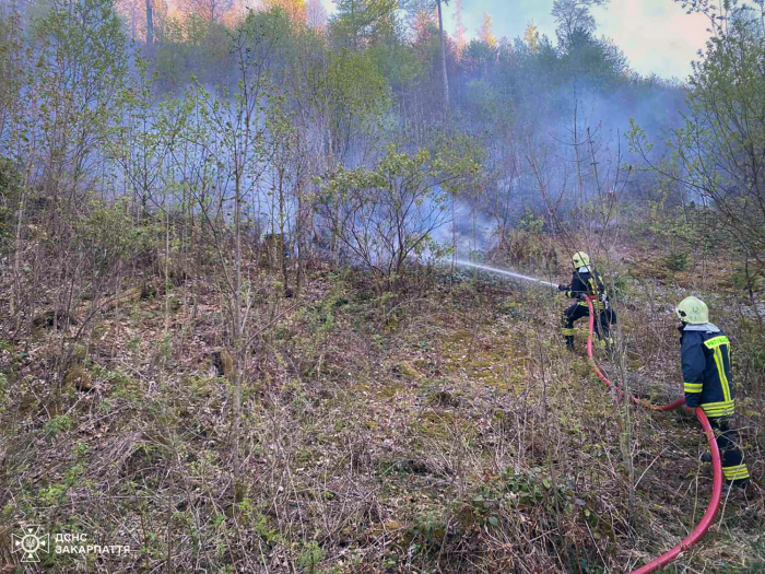 Біля Воловця пожежа охопила близько 75 га лісу

