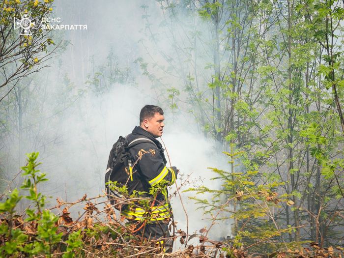 Лісову пожежу неподалік Воловця локалізували

