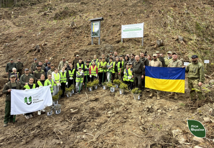 Живий символ пам’яті та шани: на Закарпатті висадили новий «Ліс пам’яті»

