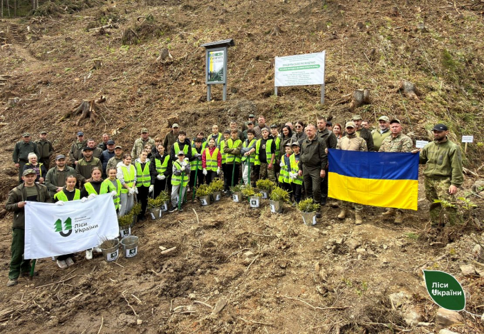 На Закарпатті висадили новий «Ліс пам’яті»


