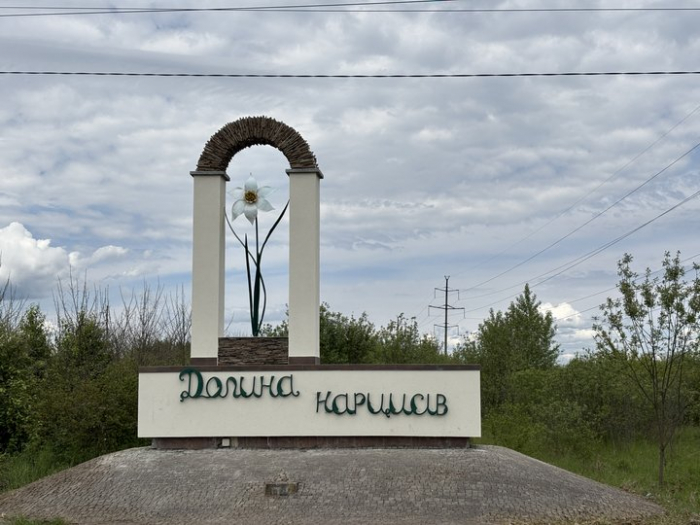 На Закарпатті – масове цвітіння Долини нарцисів

