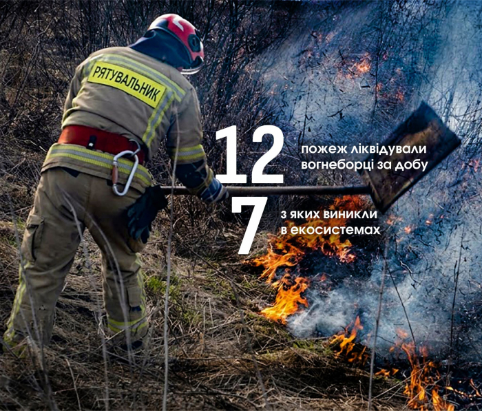 Лише протягом однієї доби на Закарпатті сталося 12 пожеж