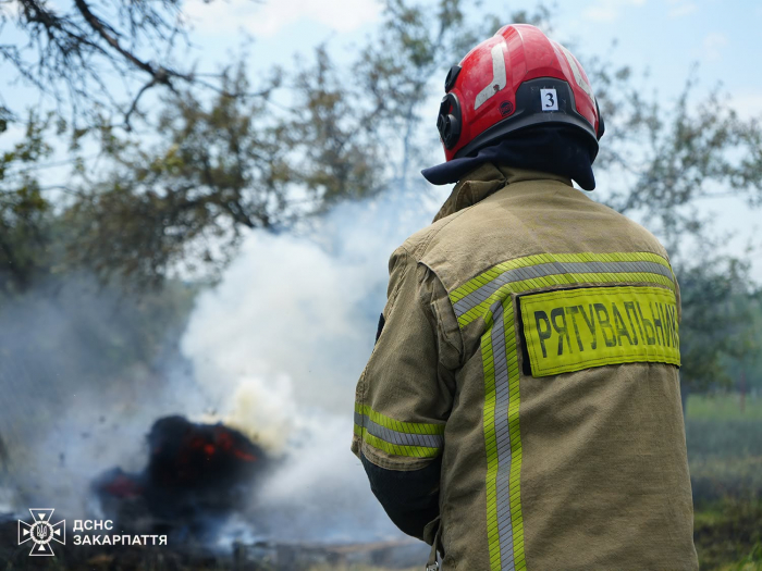 На Закарпатті від початку року ліквідовано вже 1165 пожеж в екосистемах
