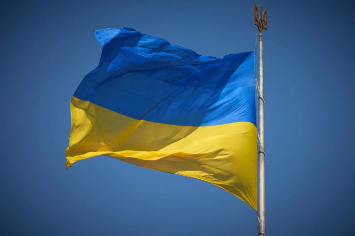 До Дня Конституції України Президент Володимир Зеленський відзначив низку закарпатців державними нагородами