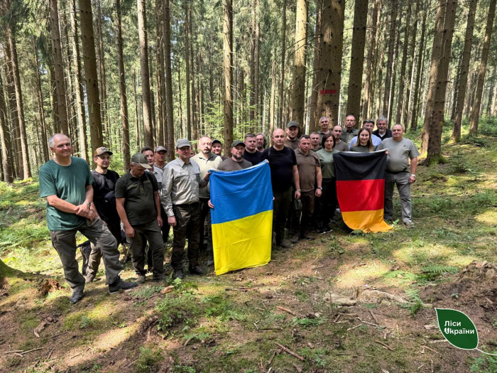 Наближене до природи лісівництво: лісівники Карпатської філії переймають досвід колег із Німеччини

