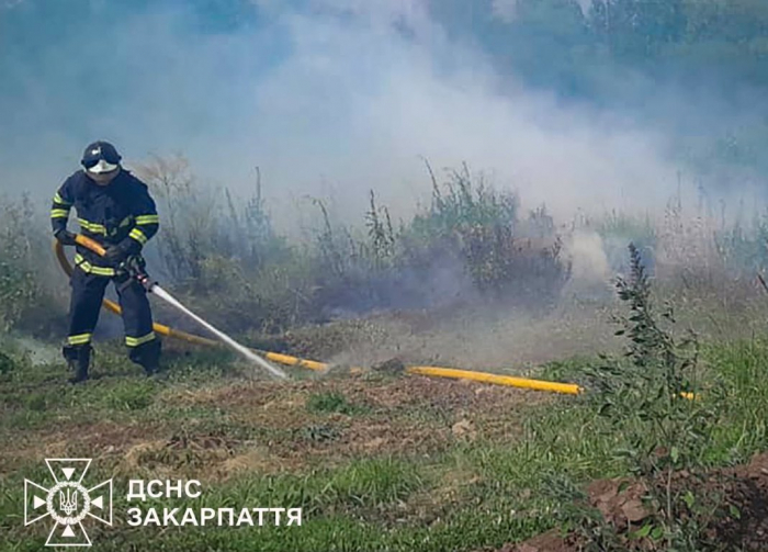 11 пожеж за добу: на Закарпатті вогонь знищив понад 5 гектарів сухостою, спалювання трави ледь не коштувало життя пенсіонеру