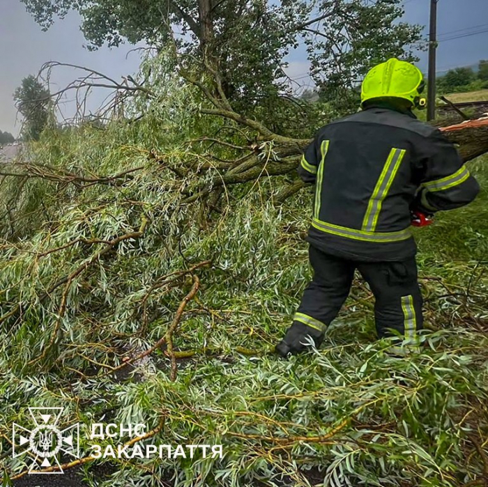 На Закарпатті надзвичайники розчищали автошляхи від повалених негодою дерев