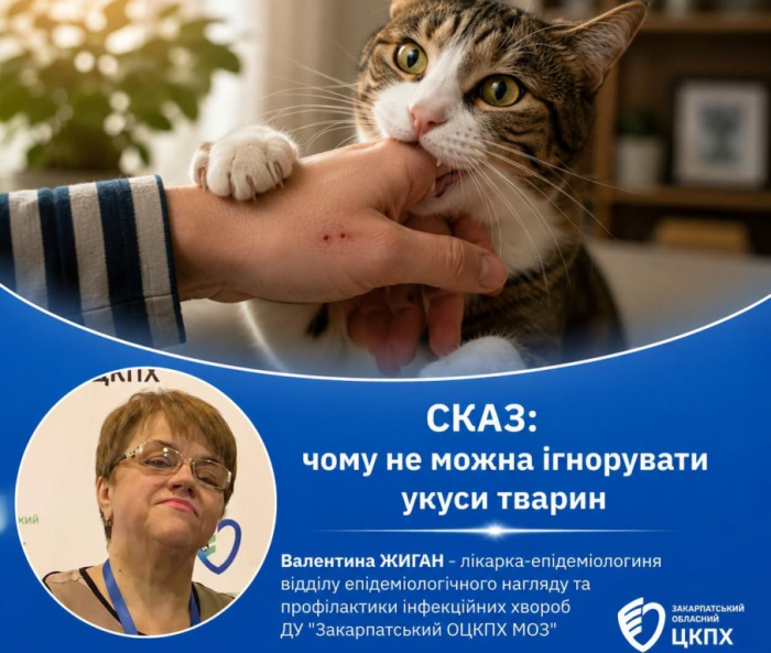12 випадків сказу за пів року: жителів Закарпаття закликають бути обережними