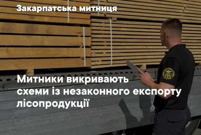 За пів року на Закарпатті задокументували 9 спроб незаконного експорту деревини